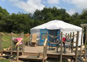 Original Mongolian Yurt in Charente